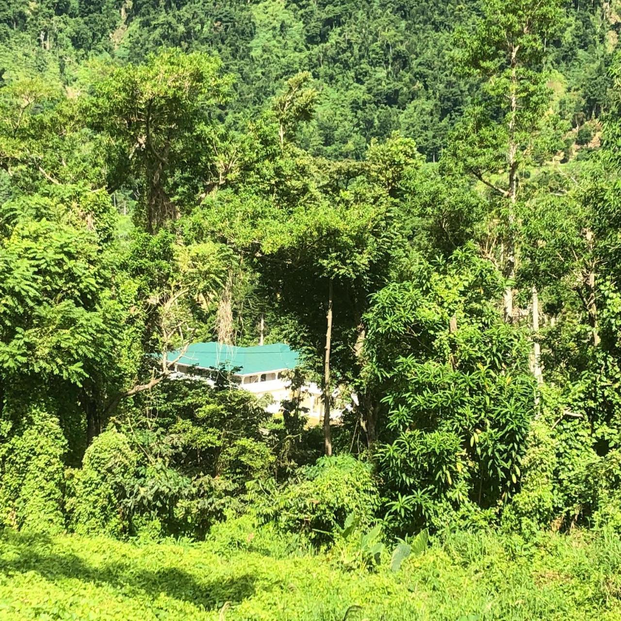 Soufriere Guesthouse 외부 사진
